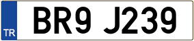 Trailer License Plate